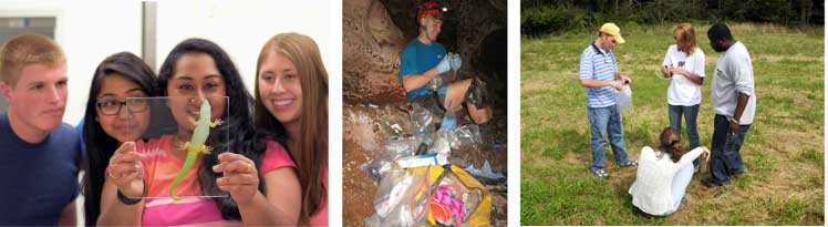 阿克伦生物系的学生，在野外研究洞穴，壁虎和植物