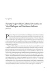 第2卷，第2章，西密歇根和印第安纳州西北部的哈瓦那-霍普韦尔文化动力学，杰夫·奇维斯著