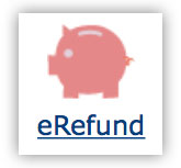 eRefund标志