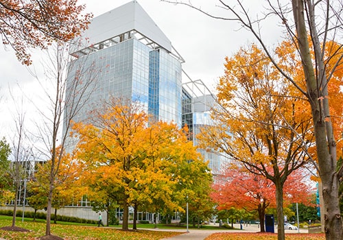 一个秋天，固特异聚合物大楼的外观